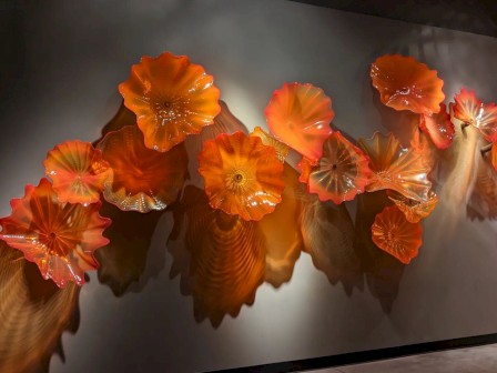 A wall display of vibrant, orange glass flowers with intricate details, beautifully illuminated.