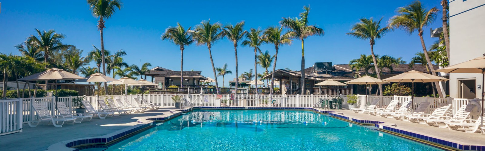 A serene pool area with loungers, palm trees, and blue skies.