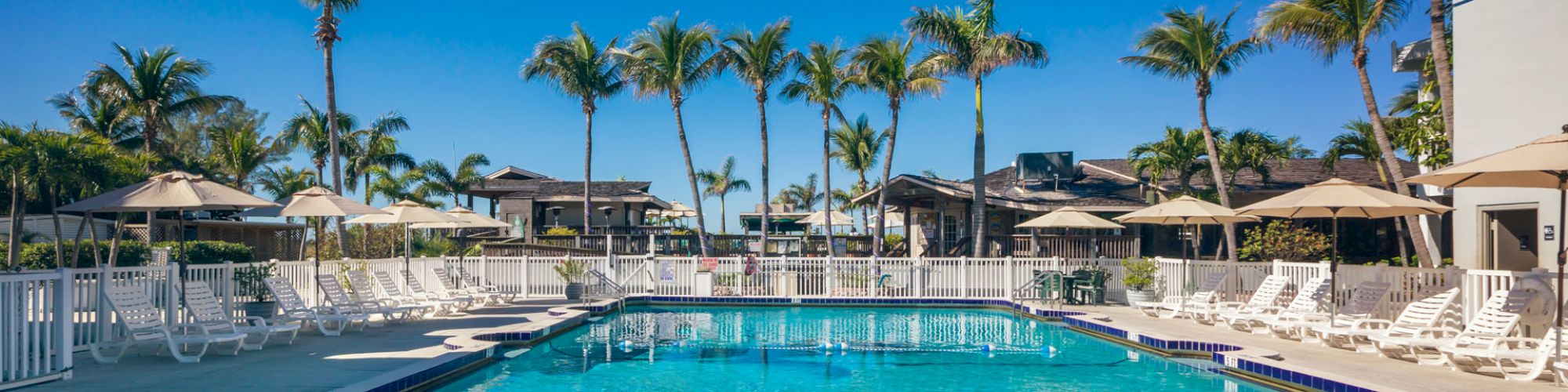 A serene pool area with loungers, palm trees, and blue skies.