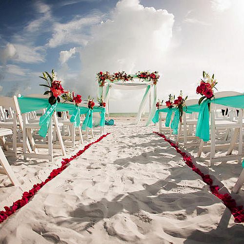 A beach wedding setup with white chairs adorned with turquoise fabric and red flowers, forming an aisle lined with red petals, ends sentence.