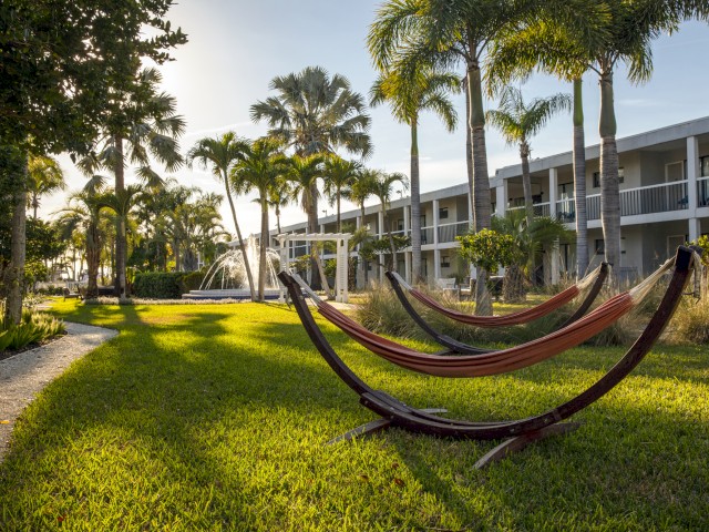 A tranquil scene with hammocks, a fountain, palm trees, and a building in the background.