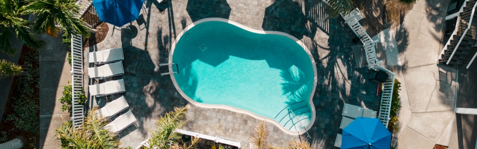 Aerial view of a kidney-shaped pool with blue umbrellas and sun loungers surrounded by palm trees.