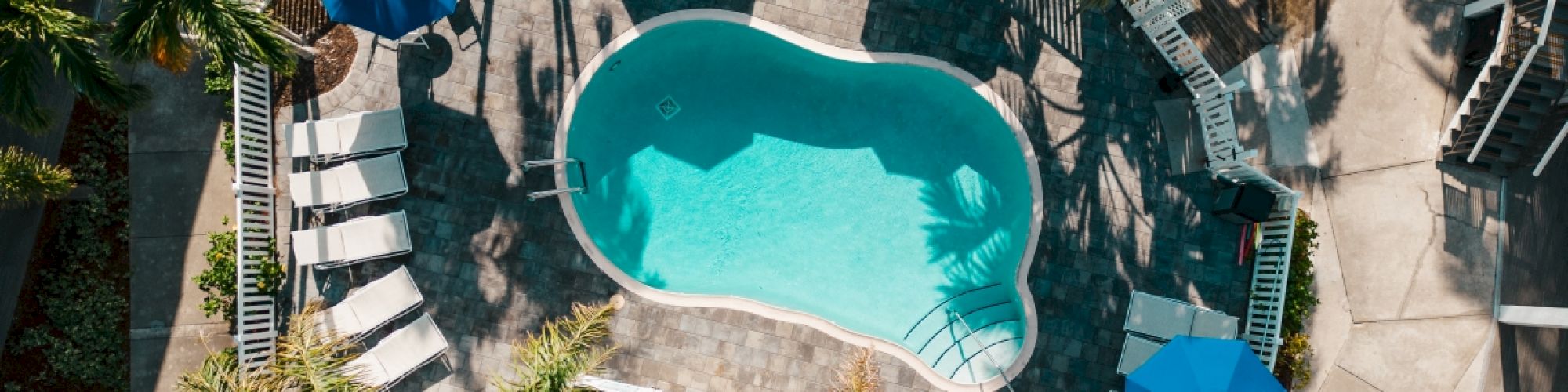 Aerial view of a kidney-shaped pool with blue umbrellas and sun loungers surrounded by palm trees.