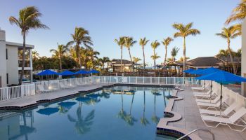 A serene pool with loungers and blue umbrellas at a resort, flanked by palm trees under a clear sky.