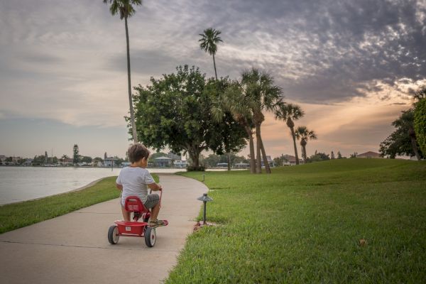 A child rides a tricycle on a path by water with palm trees and cloudy sky.