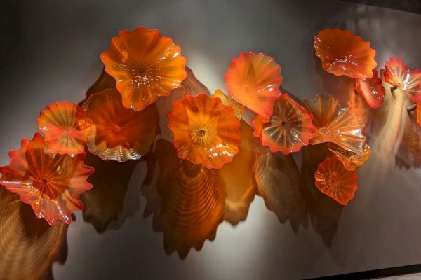A wall display of vibrant, orange glass flowers with intricate details, beautifully illuminated.