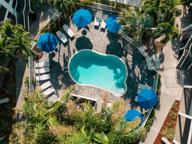 Aerial view of a kidney-shaped pool with blue umbrellas and sun loungers surrounded by greenery.