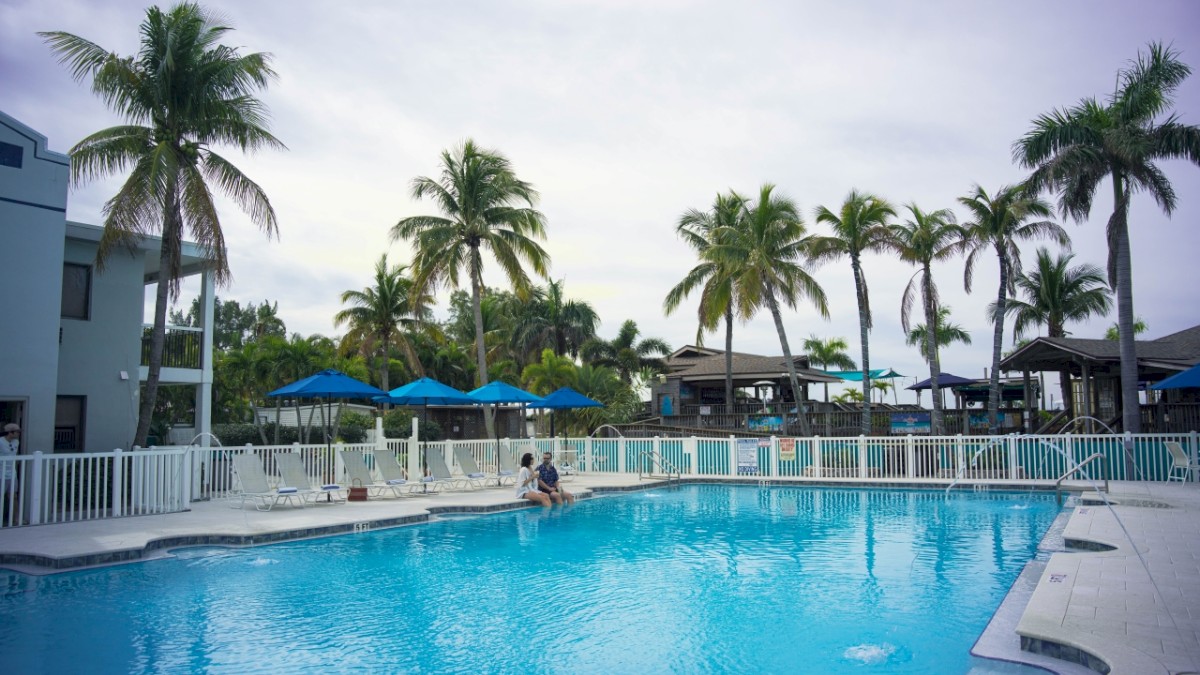 Swimming pool with a person, surrounded by palm trees and loungers under umbrellas.