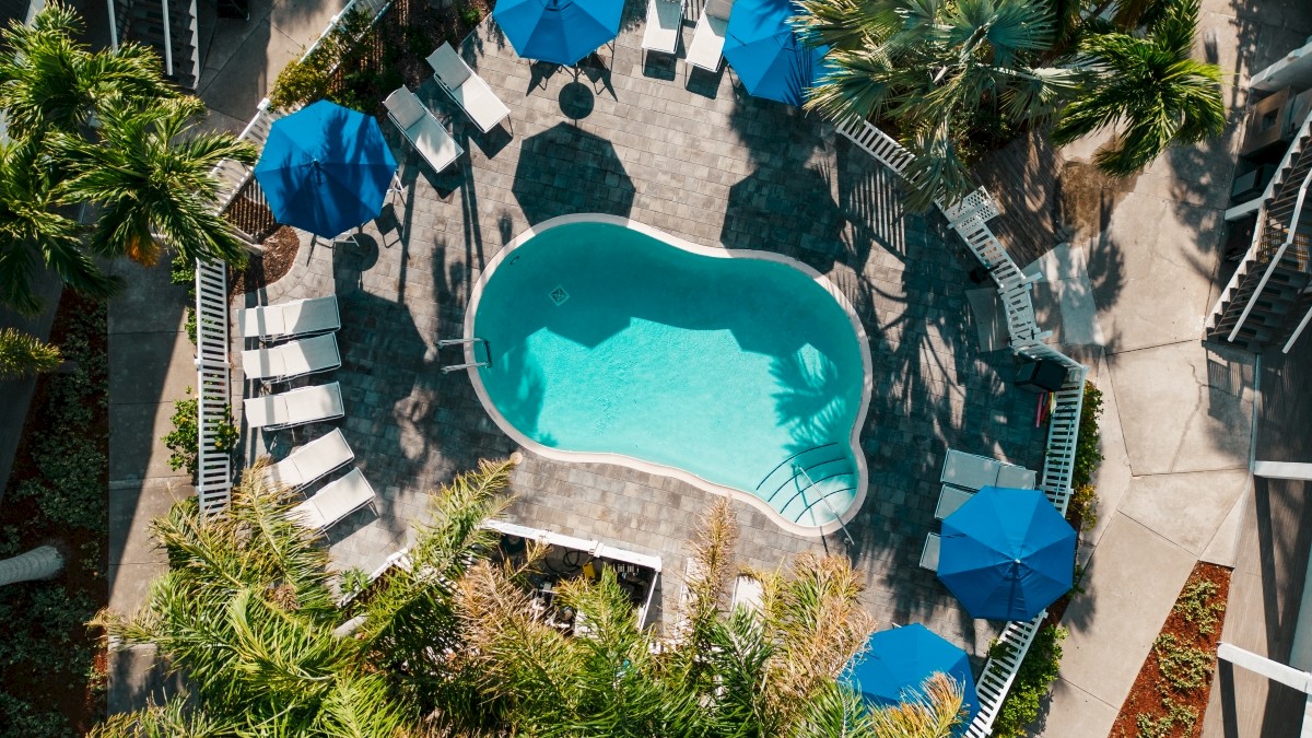Aerial view of a kidney-shaped pool with blue umbrellas and sun loungers surrounded by palm trees.