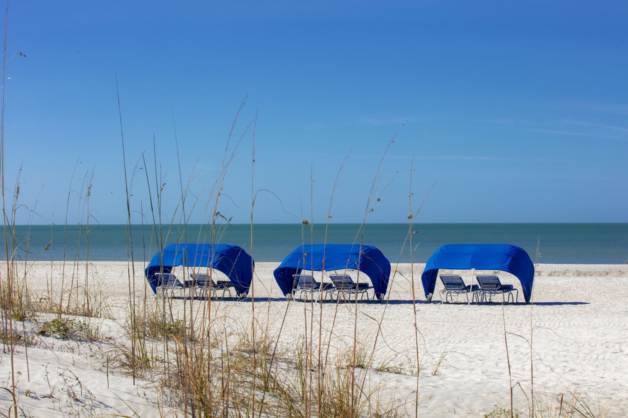 Three blue beach cabanas with chairs on a sandy beach, with the ocean in the background and tall grasses in the foreground.