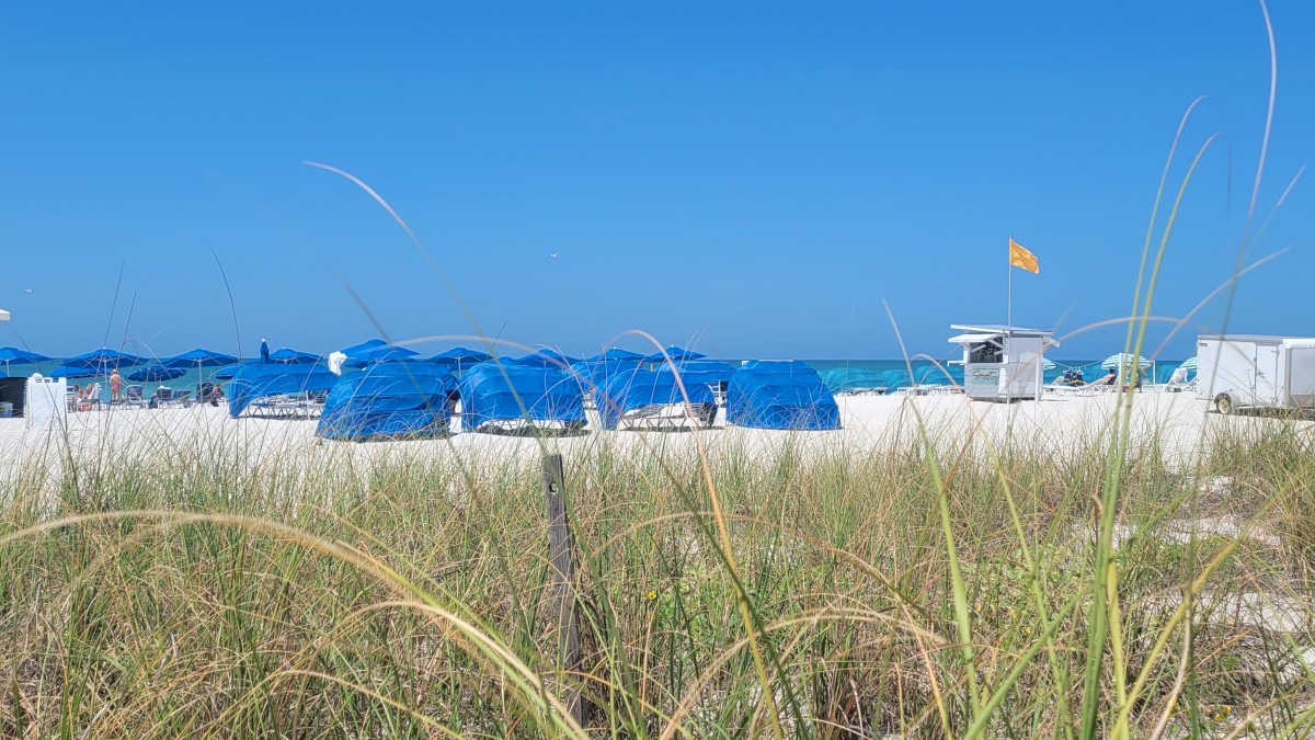 The image shows a beach scene with blue tents, a lifeguard hut, and yellow flag, surrounded by dune grass under a clear blue sky.