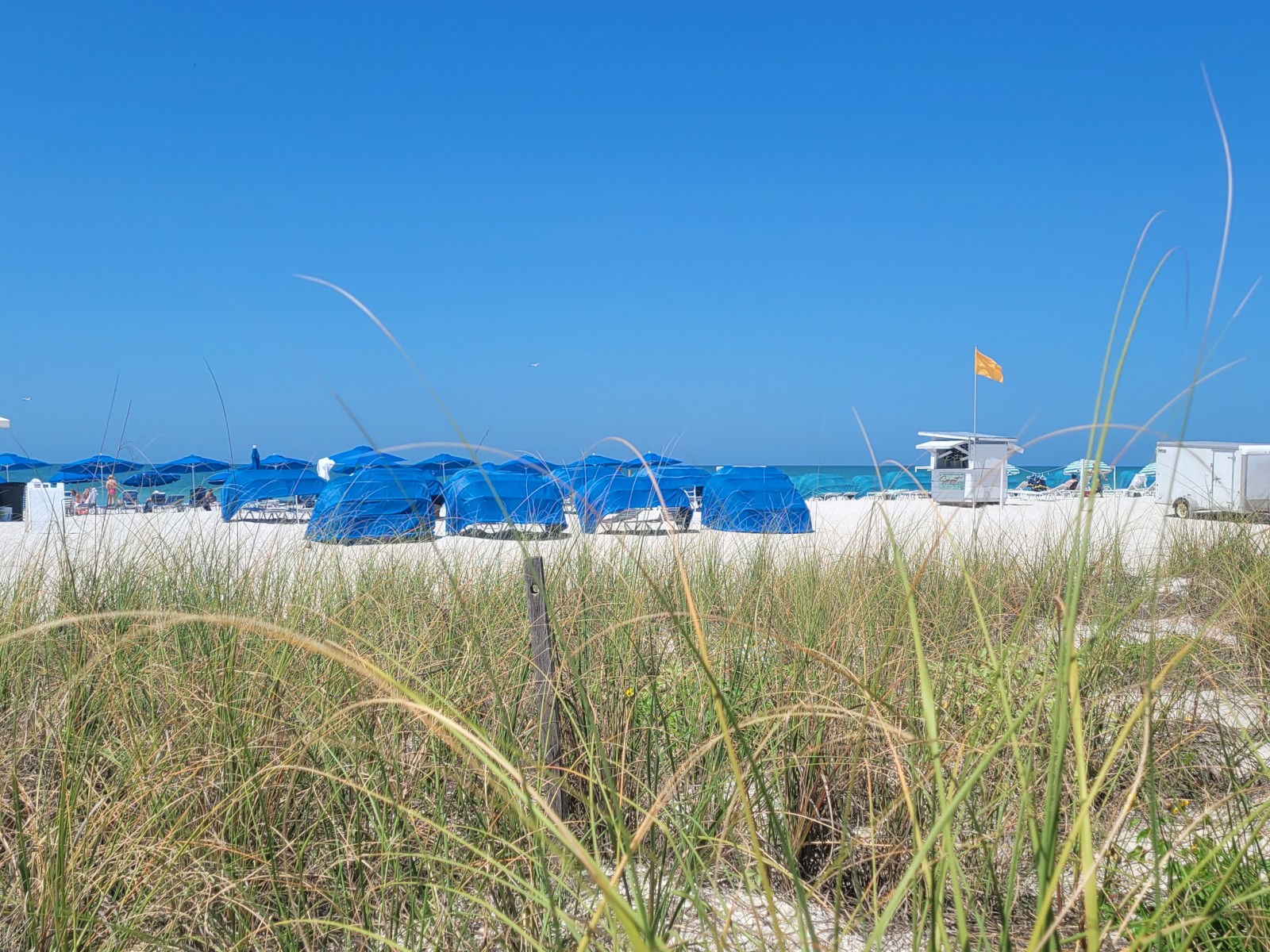 A beach with blue tents, a lifeguard station, and a yellow flag, seen over grass under a clear blue sky.