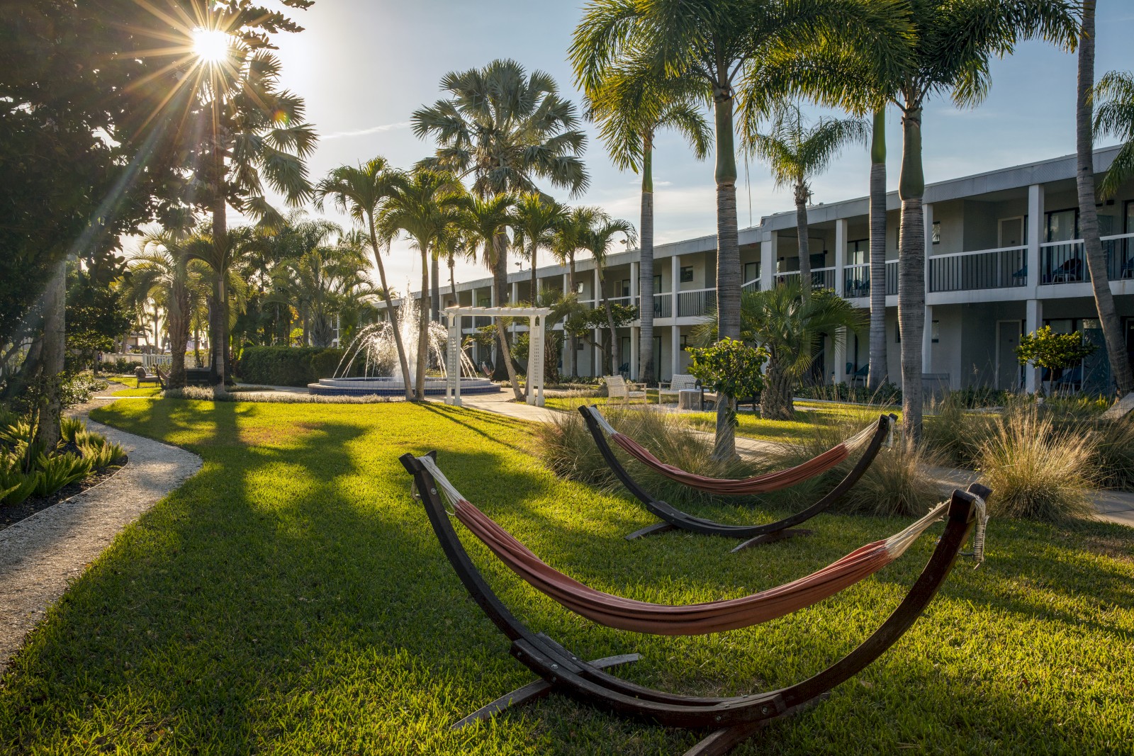 A sunny outdoor area features hammocks, a path, palm trees, and a fountain near a modern building with balconies.