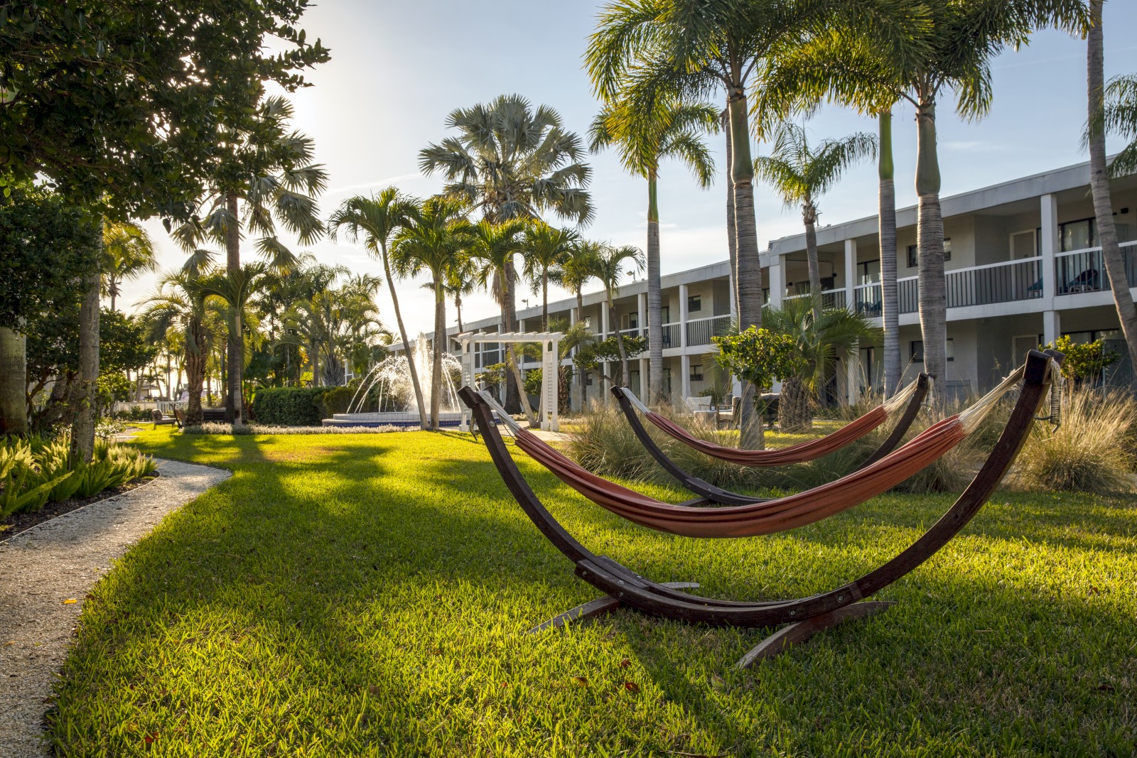 A tropical resort lawn with palm trees, two curved hammocks in the foreground, and a white hotel building in the background.