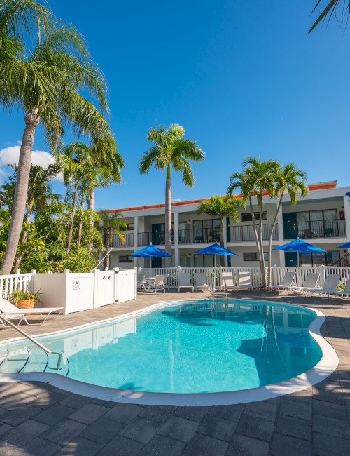 A sunny poolside view with a round pool, palm trees, white lounge chairs, blue umbrellas, and a low-rise hotel building in the background. End with period.